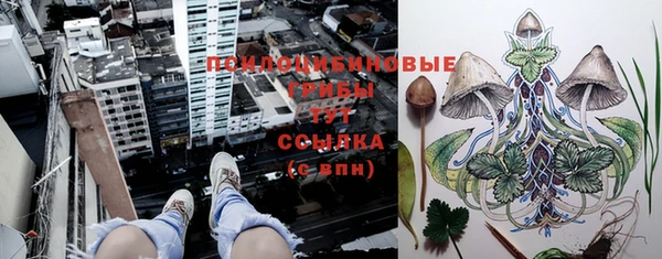 экстази Аркадак