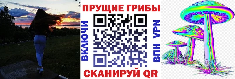 где продают   Сергач  Галлюциногенные грибы мухоморы 